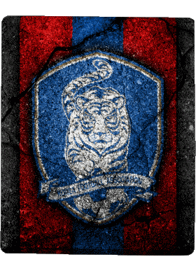 South Korea Asia Soccer National Teams - Leagues - Federation Sports 