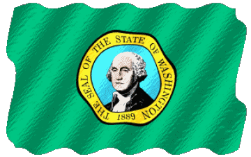 Sventola Washington U.S.A - Stati America Bandiere 