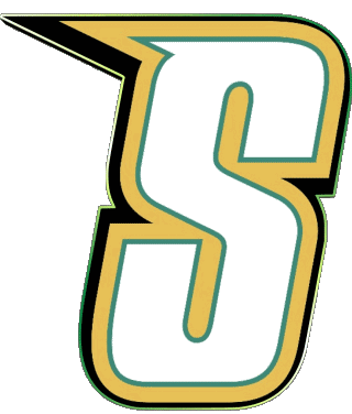 Siena Saints S N C A A - D1 (National Collegiate Athletic Association) Sport 