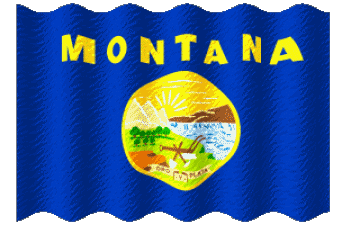 Sventola Montana U.S.A - Stati America Bandiere 
