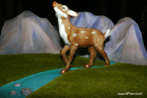 Stéreoscopique Wiggle Efectos 3d Humor - Fun 