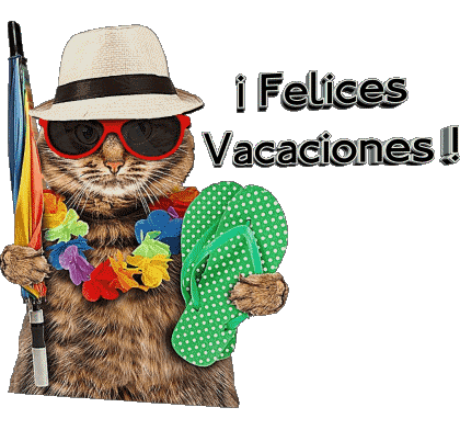 30 Fondo transparente Felices Vacaciones Español Mensajes 