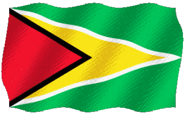 Waving Guyana America Flags 