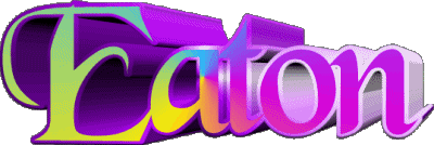 Eaton E MANN - UK - USA - IRL - AUS - NZ Vorname 