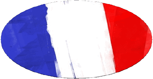 Oval National France Flags 
