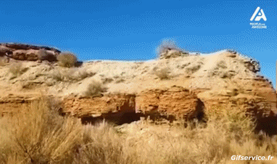 Fun - Win Mountain biking Sportivo Umorismo -  Fun 