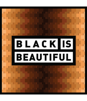 Black is beautiful-Black is beautiful Gnarly Barley USA Beers Drinks 