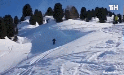 Free Style Fun Win Ski Sports Humour - Fun 