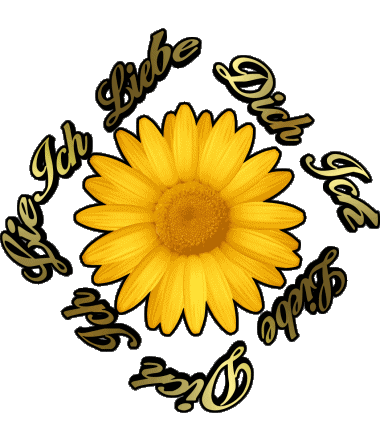 02 Ich Liebe Dich Allemand Messages 