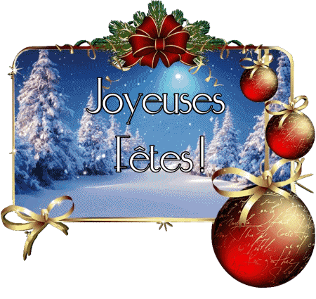 Serie 14 Joyeuses Fêtes (Noël) Français Messages 