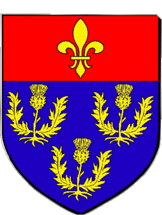 Blasone-Blasone PITHIVIERS 45 Dipartimenti - Città Francia Bandiere 