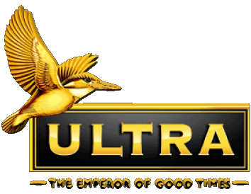 Kingfisher Indien Bier Getränke 