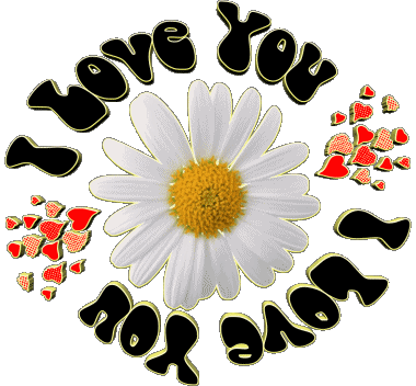 04 I Love You Inglés Mensajes 