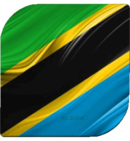 Quadrato Tanzania Africa Bandiere 
