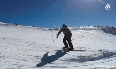 Free Style Fun Win Ski Sports Humor -  Fun 