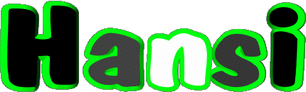 Hansi H MASCULIN - France Prénoms 