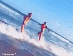 Bord de Mer Lieux - Nature Humour - Fun 