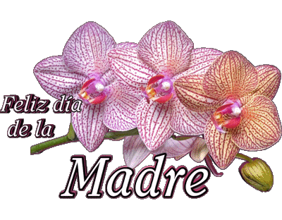05 Feliz día de la madre Espagnol Messages 