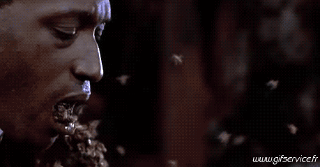 Serie 01 Insectes Animaux Humour - Fun 