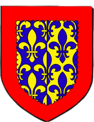 SAINT FLOUR 15 Abteilungen - Städte Frankreich Fahnen 