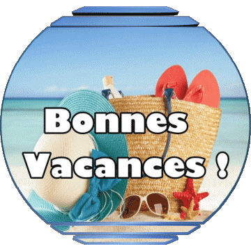 02 Transparent Background Bonnes Vacances French Messages 
