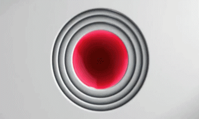 Jingles Pub 2012 - 2016 6 Ter Chaines -  TV France Multi Média 