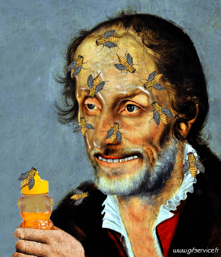 Serie 01 Insectes Animaux Humour - Fun 