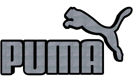 Puma Ropa deportiva Moda 