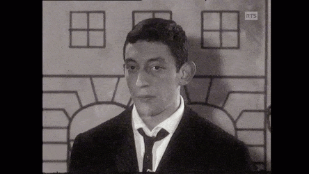 Serge Gainsbourg Francia - Video Musica Multimedia 