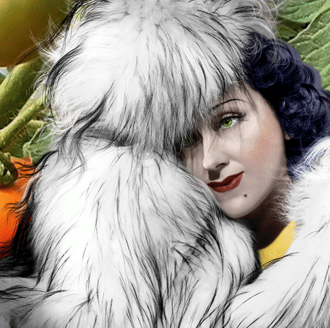 Isabel Chiara GIF Artists Humor -  Fun 