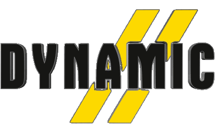 Dynamic Skiing - Equipment Sports 