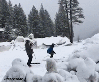 Free Style Fail - Gamelles Ski Sports Humour - Fun 