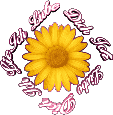 02 Ich Liebe Dich German Messages 