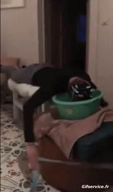 Corona Virus Nachrichten Humor -  Fun 