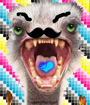 01 Strauße Tiere Humor -  Fun 