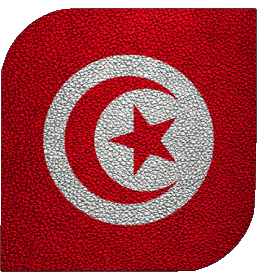 Carré Tunisie Afrique Drapeaux 