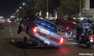 Lowriding Cars Transport Humor -  Fun 