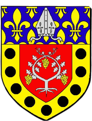 ERMONT 95 Dipartimenti - Città Francia Bandiere 