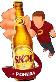 Skol Brazil Beers Drinks 