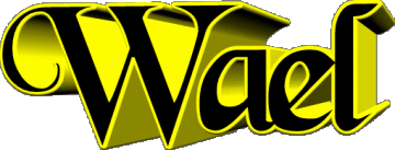 Wael W MANN - Maghreb Muslim Vorname 