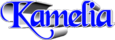 Kamelia K WEIBLICH - Maghreb Muslim Vorname 