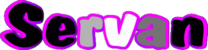 Servan S MASCULIN - France Prénoms 