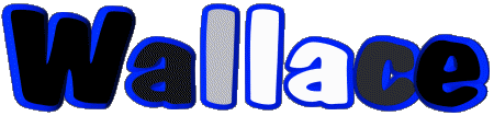 Wallace W MASCULINE -  UK - USA - IRL - AUS - NZ First Names 