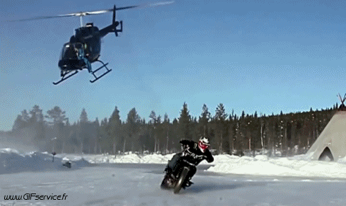Freestyle Fun Win Motos Transports Humour - Fun 