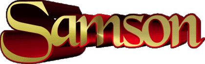 Samson S MASCULINE - France First Names 