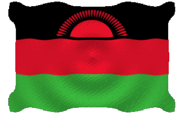 Waving Malawi Africa Flags 