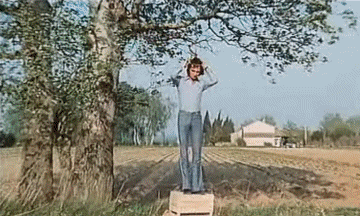 Les Fous du Stade - Vidéo Les Charlots Cinéma - France Multi Média 