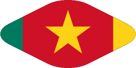 Diverso Camerún África Banderas 