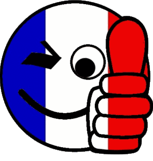 Smiley - OK National Frankreich Fahnen 
