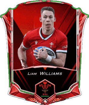 Liam Williams Equipe 2022 Pays de Galles Rugby - Joueurs Sports 
